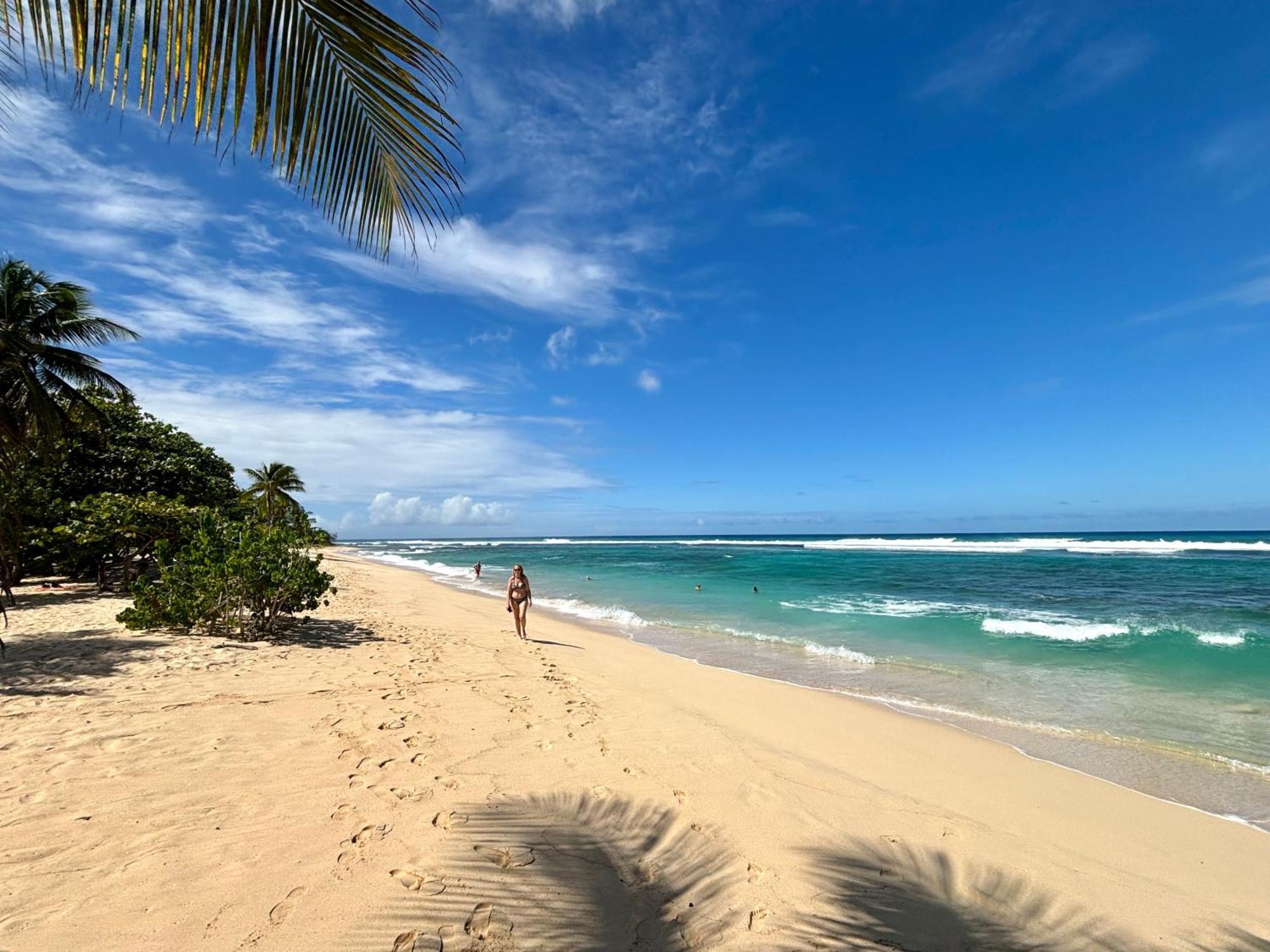 Lavann Wouj - Proche Des Plages Et Du Bourg Villa Anse-Bertrand Buitenkant foto